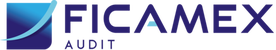 Ficamex Audit
